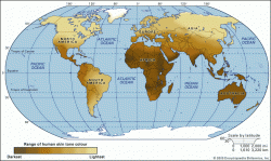 Click image for larger version. 

Name:	skin_color_792185_464.gif 
Views:	158 
Size:	76.2 KB 
ID:	259955