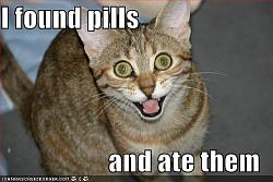 Click image for larger version. 

Name:	lolcat_funny_picture_found_pills_ate_eat_954.jpg 
Views:	715 
Size:	29.1 KB 
ID:	156727
