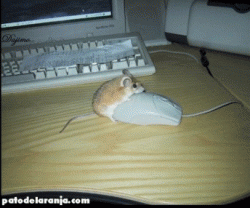 Click image for larger version. 

Name:	Horny Mouse.gif 
Views:	548 
Size:	110.8 KB 
ID:	399111