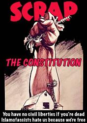Click image for larger version. 

Name:	scrapconstitution_160.jpg 
Views:	928 
Size:	25.3 KB 
ID:	64989