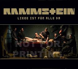 Click image for larger version. 

Name:	rammstein-lifad-front-cover.jpg 
Views:	49 
Size:	141.1 KB 
ID:	425635