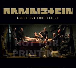 Click image for larger version. 

Name:	rammstein-lifad-front-cover.jpg 
Views:	50 
Size:	141.1 KB 
ID:	425635