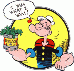Click image for larger version. 

Name:	popeye-yam-spin.gif 
Views:	274 
Size:	34.2 KB 
ID:	637433