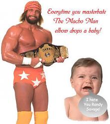 Click image for larger version. 

Name:	Macho Man Elbow Drops A Baby.jpg 
Views:	156 
Size:	21.5 KB 
ID:	395175