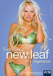 Click image for larger version. 

Name:	pamela-anderson-peta-thumb-400x567_786_poster.jpg 
Views:	140 
Size:	164.7 KB 
ID:	549750