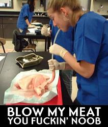 Click image for larger version. 

Name:	blow_my_meat_108.jpg 
Views:	177 
Size:	33.8 KB 
ID:	84455