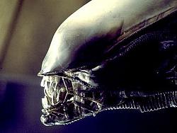 Click image for larger version. 

Name:	alien_xenomorph_01.jpg 
Views:	387 
Size:	38.6 KB 
ID:	407583