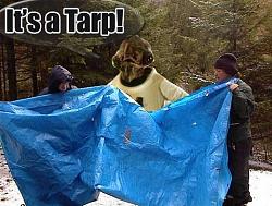 Click image for larger version. 

Name:	tarp-30198.jpg 
Views:	3187 
Size:	41.3 KB 
ID:	328760