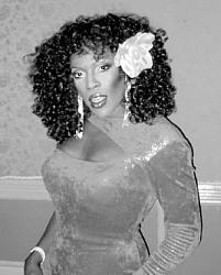 Click image for larger version. 

Name:	DonnaSummer.jpg 
Views:	389 
Size:	41.0 KB 
ID:	481809