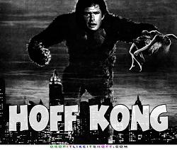 Click image for larger version. 

Name:	hoff_kong.jpg 
Views:	68 
Size:	57.0 KB 
ID:	405751