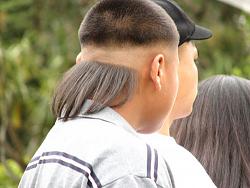 Click image for larger version. 

Name:	Mullet-maybe.jpg 
Views:	90 
Size:	37.0 KB 
ID:	318359