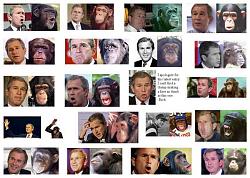 Click image for larger version. 

Name:	bush_chimps2.jpg 
Views:	445 
Size:	73.3 KB 
ID:	428029