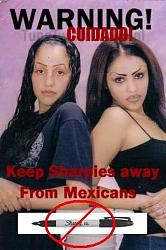 Click image for larger version. 

Name:	mexicans_sharpies_412.jpg 
Views:	434 
Size:	60.9 KB 
ID:	152682