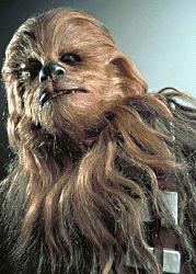 Click image for larger version. 

Name:	chewbacca_117.jpg 
Views:	3372 
Size:	31.5 KB 
ID:	53192
