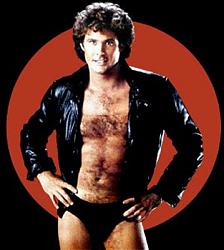 Click image for larger version. 

Name:	hasselhoff.jpg 
Views:	90 
Size:	28.8 KB 
ID:	405702