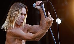 Click image for larger version. 

Name:	Iggy-Pop-CD-of-week-011.jpg 
Views:	514 
Size:	61.0 KB 
ID:	789808