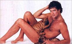 Click image for larger version. 

Name:	hasselhoff-naked-puppies[2].jpg 
Views:	950 
Size:	44.9 KB 
ID:	378114