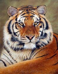 Click image for larger version. 

Name:	tiger.jpg 
Views:	423 
Size:	89.1 KB 
ID:	384061