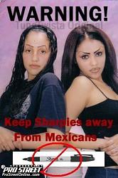 Click image for larger version. 

Name:	mexicans_254.jpg 
Views:	1980 
Size:	35.3 KB 
ID:	98231