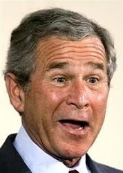 Click image for larger version. 

Name:	bush%20goofy.jpg 
Views:	482 
Size:	20.9 KB 
ID:	815848