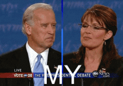 Click image for larger version. 

Name:	sarah_palin_108.gif 
Views:	753 
Size:	342.7 KB 
ID:	246007