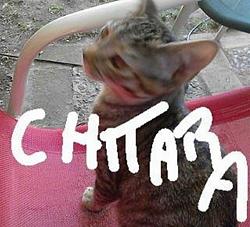 Click image for larger version. 

Name:	chitara1.jpg 
Views:	85 
Size:	98.7 KB 
ID:	1002352