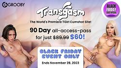 Click image for larger version. 

Name:	black-friday-2023-08-transgasm-v2 (1).jpg 
Views:	23 
Size:	1.06 MB 
ID:	1437715