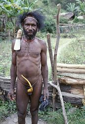 Click image for larger version. 

Name:	papua_man_701.jpg 
Views:	4314 
Size:	73.8 KB 
ID:	190979