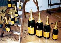 Click image for larger version. 

Name:	veuve_clicquot_311.jpg 
Views:	133 
Size:	85.4 KB 
ID:	186407