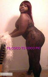 Click image for larger version. 

Name:	ts_coco2_131.jpg 
Views:	1558 
Size:	15.1 KB 
ID:	253333