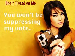 Click image for larger version. 

Name:	you won't be suppressing my vote.jpg 
Views:	141 
Size:	146.5 KB 
ID:	522559