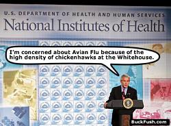 Click image for larger version. 

Name:	bush_chickenhawk_flu_908.jpg 
Views:	324 
Size:	39.6 KB 
ID:	35616