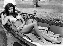 Click image for larger version. 

Name:	big-raquel-welch-2.jpg 
Views:	1025 
Size:	162.0 KB 
ID:	403425