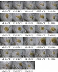 Click image for larger version. 

Name:	ContactSheet-001.jpg 
Views:	2173 
Size:	49.6 KB 
ID:	739786