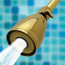 Click image for larger version. 

Name:	golden shower 1.jpg 
Views:	233 
Size:	40.3 KB 
ID:	696206