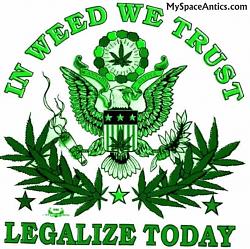 Click image for larger version. 

Name:	weed_we_trust_202.jpg 
Views:	109 
Size:	76.5 KB 
ID:	260515