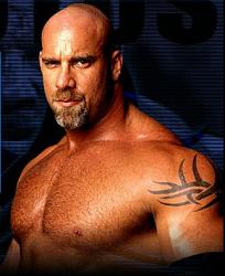 Click image for larger version. 

Name:	bill_goldberg_863.jpg 
Views:	328 
Size:	20.6 KB 
ID:	97756