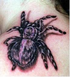 Click image for larger version. 

Name:	3d_spider_tattoo_520.jpg 
Views:	211 
Size:	19.3 KB 
ID:	287276