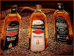 Click image for larger version. 

Name:	bushmills8f_161.jpg 
Views:	580 
Size:	52.0 KB 
ID:	170917