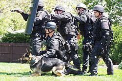 Click image for larger version. 

Name:	SWAT-team-raid.jpg 
Views:	334 
Size:	146.3 KB 
ID:	795659