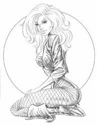 Click image for larger version. 

Name:	black_canary2_191.jpg 
Views:	622 
Size:	29.7 KB 
ID:	189880