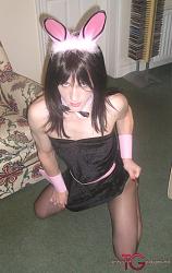 Click image for larger version. 

Name:	Kirsty showing off (2).jpg 
Views:	665 
Size:	178.0 KB 
ID:	386203