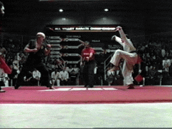 Click image for larger version. 

Name:	karate_334.gif 
Views:	2026 
Size:	43.5 KB 
ID:	53855
