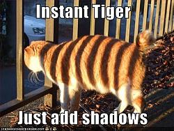 Click image for larger version. 

Name:	funny_pictures_your_cat_has_tiger_stripes_213.jpg 
Views:	1262 
Size:	44.6 KB 
ID:	277092