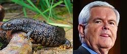 Click image for larger version. 

Name:	newt.jpg 
Views:	121 
Size:	21.7 KB 
ID:	429317