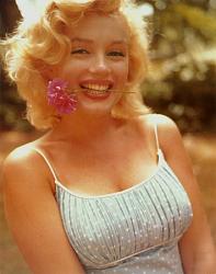 Click image for larger version. 

Name:	marilyn_monroe_poster_card_c10204183_114.jpeg 
Views:	1868 
Size:	38.9 KB 
ID:	217305