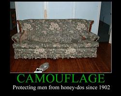 Click image for larger version. 

Name:	camouflage_593.jpg 
Views:	2462 
Size:	58.8 KB 
ID:	266565