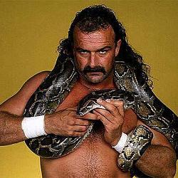 Click image for larger version. 

Name:	jake-the-snake-roberts.jpg 
Views:	403 
Size:	52.9 KB 
ID:	432235