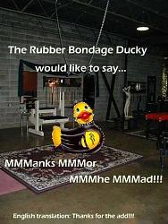 Click image for larger version. 

Name:	bondage-rubber-duckie-dungeon-sm.jpg 
Views:	2332 
Size:	39.2 KB 
ID:	325395