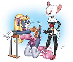 Click image for larger version. 

Name:	tomjerry_156_501.jpg 
Views:	3683 
Size:	236.2 KB 
ID:	136258